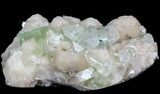 Zoned Apophyllite Crystals on Stilbite Association - India #44448-1